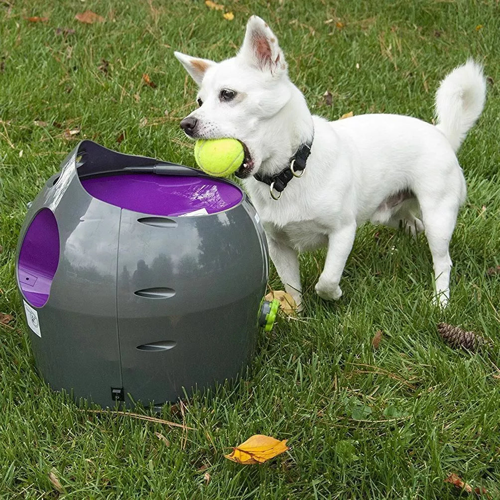Petsafe Automatic Ball Launcher – Outdoor Dog Tennis Ball Thrower